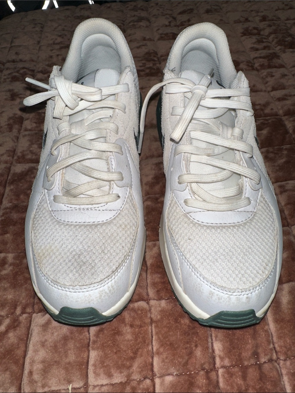 Nike AIR MAX with Green Logo and swish